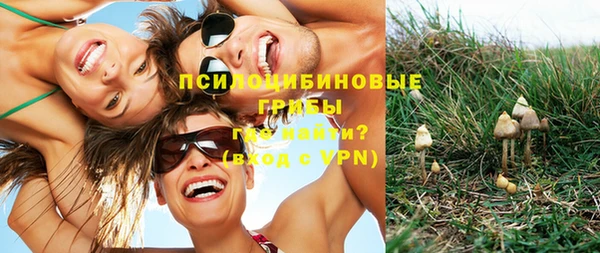 винт Белоозёрский